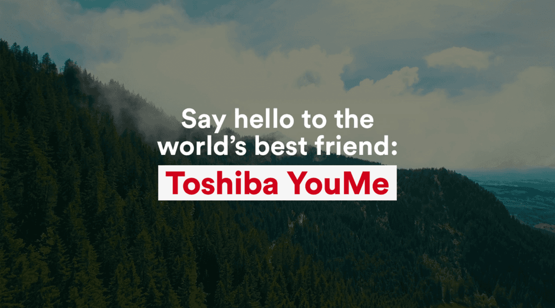 Toshiba_1